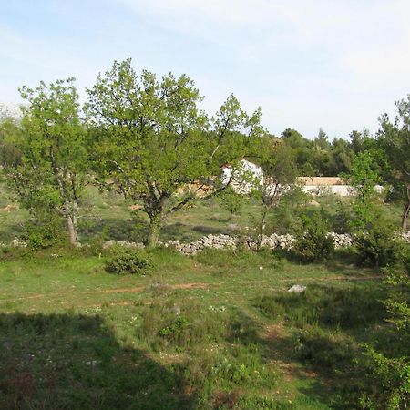 Paklina Apartments Starigrad Paklenica Exteriör bild