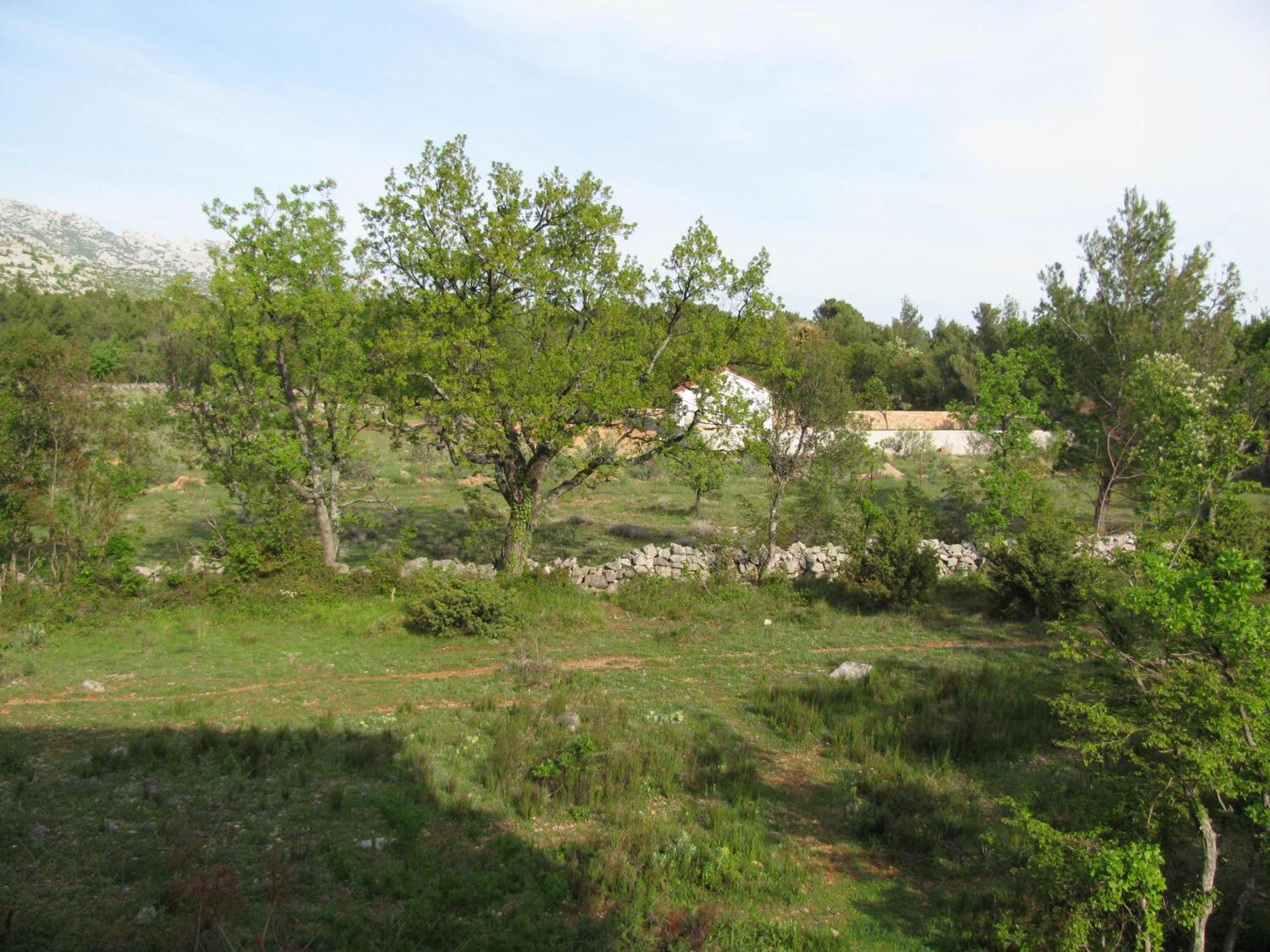 Paklina Apartments Starigrad Paklenica Exteriör bild
